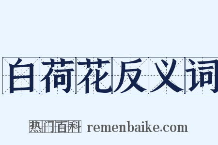 白荷花反义词是什么意思的图片
